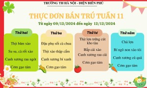 Thực đơn bán trú tuần 11, năm học 2024-2025